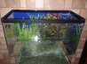 Стеклянный аквариум 25 литров