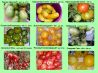Продаю редкие, сортовые семена томатов. Урожайных и вкусных сортов