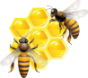 Продаются пчёлы в ульях, Краснодар