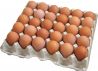 Продаю инкубационное яйцо курочки кросса Ломан Браун