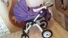 Детская коляска 2 В 1 adamex jogger