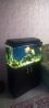 Продаю оборудованный аквариум с золотыми рыбками