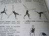 Гимнастические термины с рисунками на английском языке Акробатика цирк