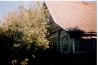 Дом бревенчатый 60 м.кв. на участке 9 соток в городе Острове Псковской