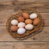 яйца куриные домашние