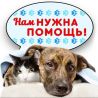 Приют для животных «Добрый двор» в Кемерово