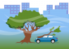 Взыскание ущерба при падении дерева на автомобиль в Перми